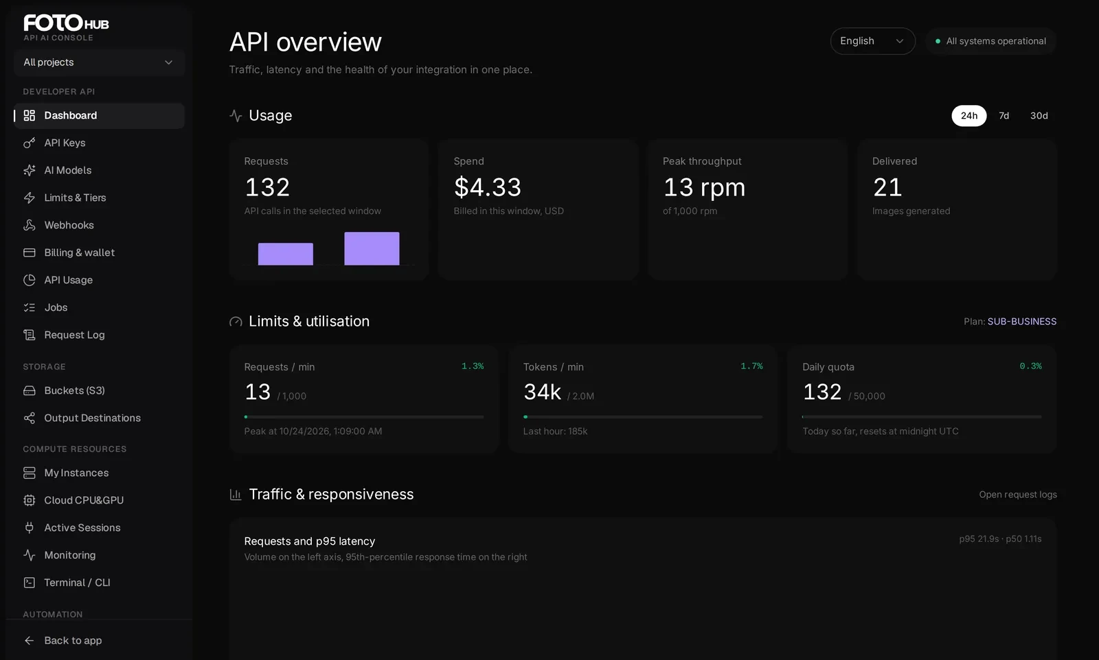 The developer console overview with usage, limits and traffic